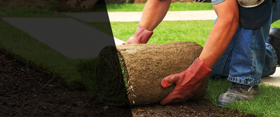 Tallmadge Landscapers